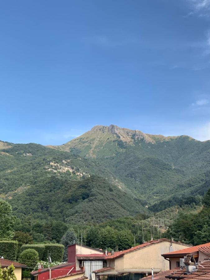 Casa La Wanda - Camaiore Toscana - 2 Bedroom & Terrace Ngoại thất bức ảnh